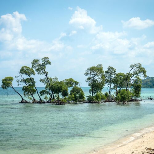 Andaman & Nicobar Islands