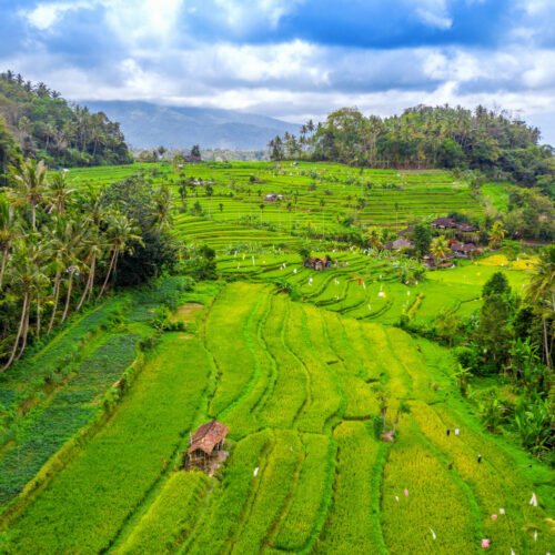 Bali